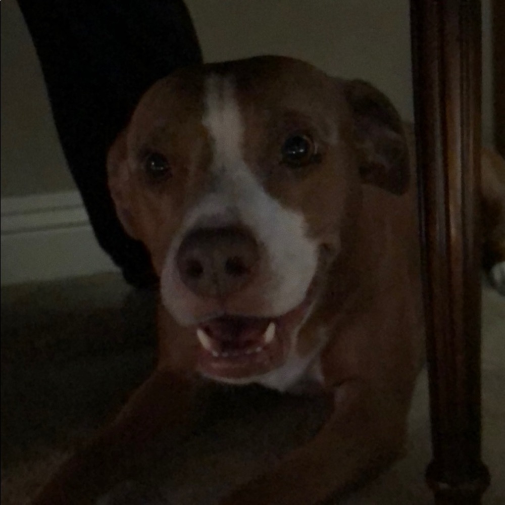 Meet your Posher, Maria